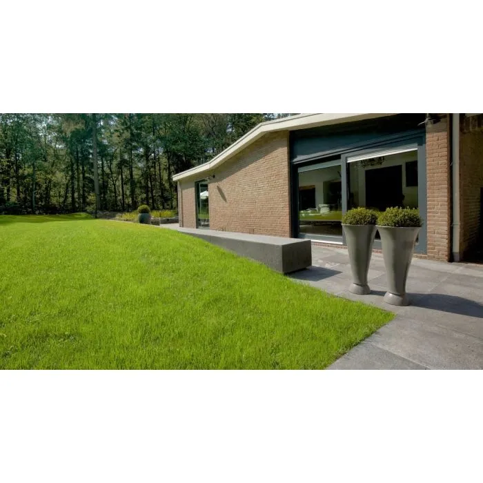 Oudhollandse tegel terrastegel 100x100x5cm, per m2