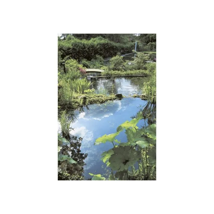 Voorgevormde vijver 180x140cm (500ltr)