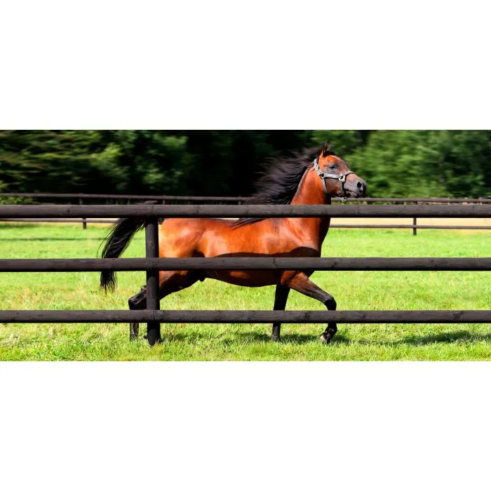 Rondhout palissade ø7x250cm