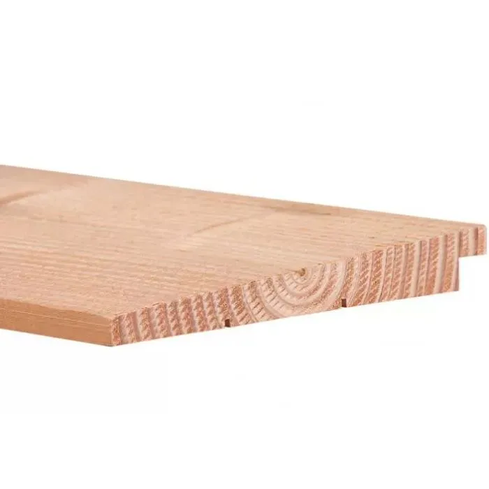 Douglas Zweeds rabat potdekselplanken 500cm (10/24x195mm)