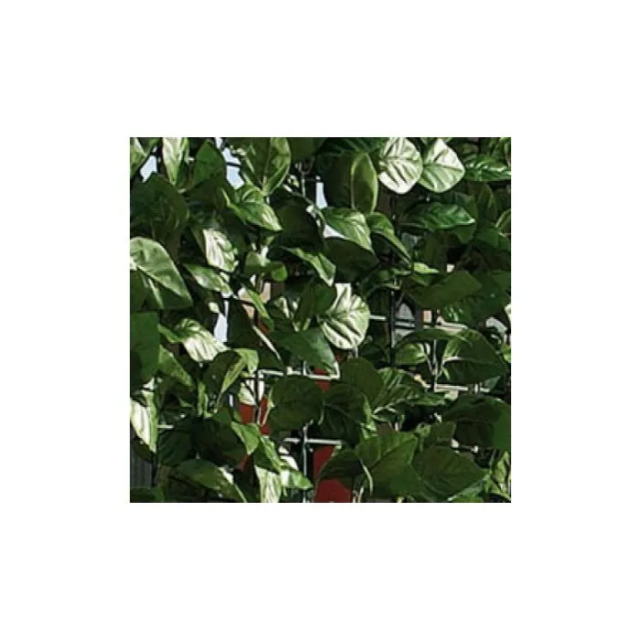 Buxibo Kunsthaag Set - 4 x 50x50 cm - Groene Wand - Kunstklimop - Namaak Plant - Balkonscherm - Kunstplanten Voor Buiten en Binnen - Olive