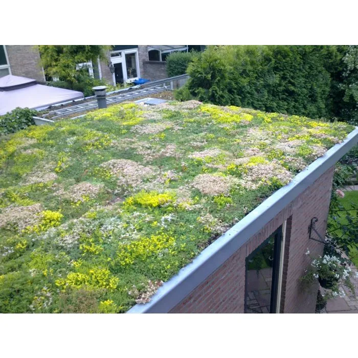 Groendak sedumdak sedum cassettes kliksysteem 45x50cm