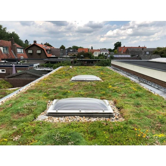 Groendak sedumdak sedum cassettes kliksysteem 45x50cm