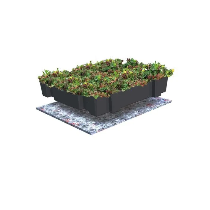 Sedumdak groendak beschermdoek 13m2