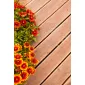Vlonderplanken Douglas 400cm (24x138mm) kleurloos geïmpregneerd