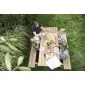 Picknicktafel grenen opklapbaar 180cm
