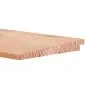 Douglas Zweeds rabat potdekselplanken 500cm (10/24x195mm)