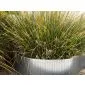 Borderrand flexibel gegalvaniseerd 240x15cm
