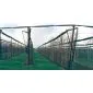 Rondhout palissade ø7x250cm