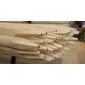 Rondhout palissade ø6x140cm